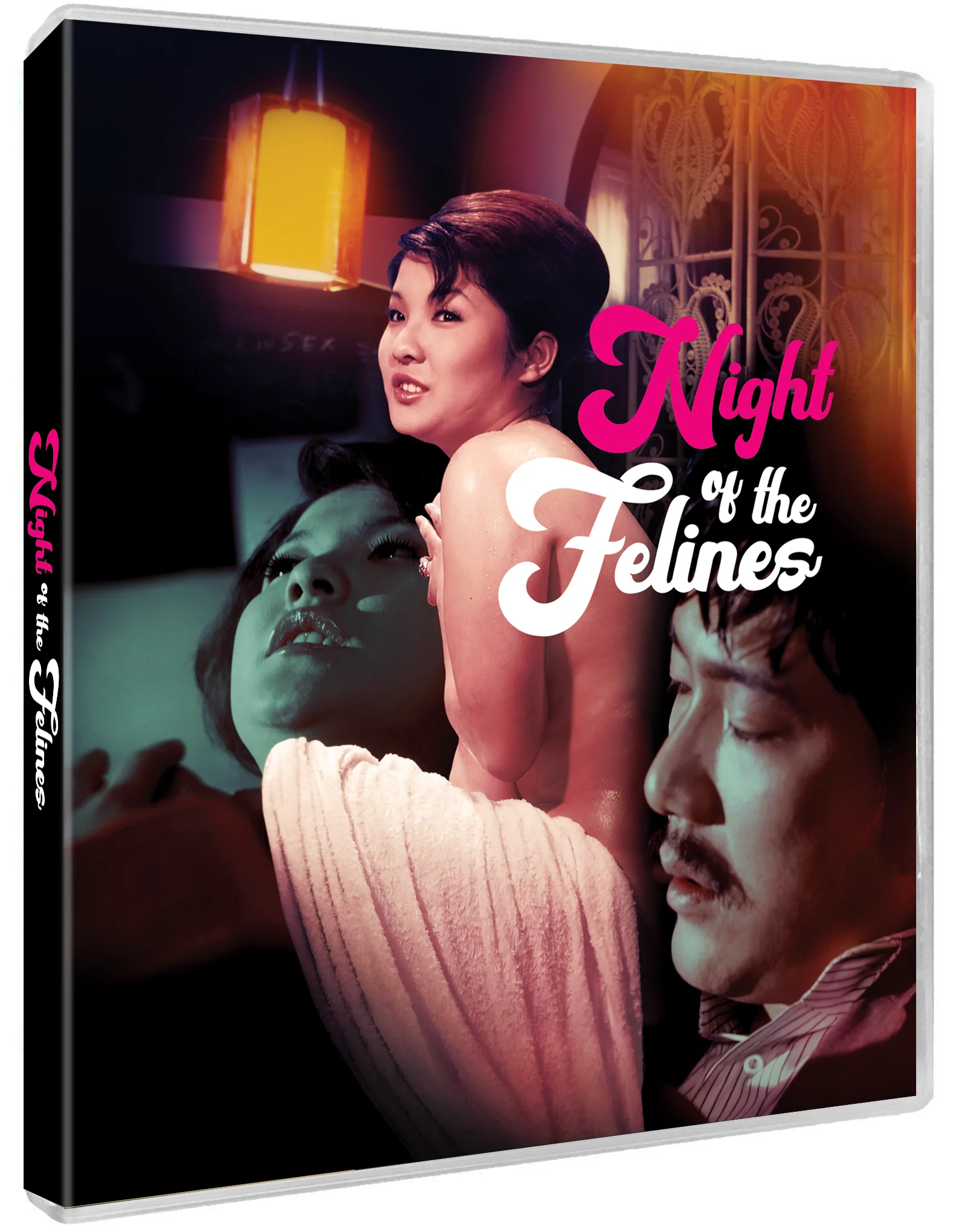 Night Of The Felines - Image 4